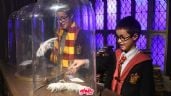 Foto ilustrativa de la nota titulada Harry Potter Magic at Play: Una experiencia imperdible para los fans