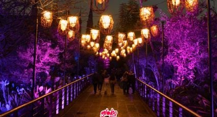 Secret Garden en CDMX: Experiencia inmersiva de luz en el Parque Bicentenario | Detalles, fechas y precios