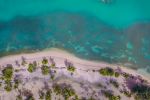 Foto ilustrativa de la nota titulada: La playa de Puerto Rico que se destaca por su agua diáfana y cristalina