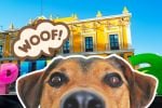 Foto ilustrativa de la nota titulada: ‘Perrito más Chismoso de Puebla’, así puedes conocer a la mascota VIRAL de TikTok