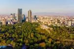 Foto ilustrativa de la nota titulada: ¿Cuántas especies de hongos, plantas y animales hay en el Bosque de Chapultepec, según la UNAM?