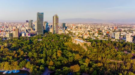 ¿Cuántas especies de hongos, plantas y animales hay en el Bosque de Chapultepec, según la UNAM?