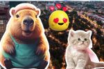 Capibara Fest 2025 en la CDMX, un festival con causa que no te puede perder ¿Cuándo y dónde?