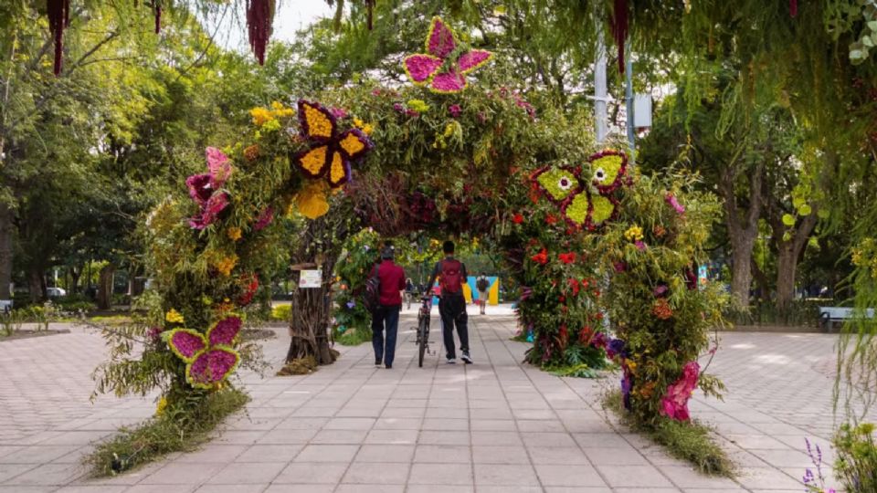 Para este año la sexta edición del Festival de Flores y Jardines 2025 en la CDMX tendrá como temática “Jardines del Futuro”.