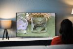 Foto ilustrativa de la nota titulada: Golden Globes 2025: A qué hora y dónde ver EN VIVO la ceremonia de premiación desde México