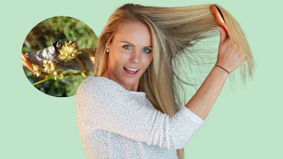 Con este remedio natural hecho con esta especial planta medicinal, podrás detener la caída del cabello.