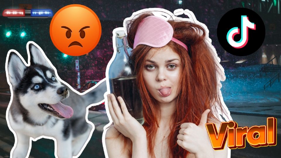 Video viral en TikTok, mujer le da cerveza a un perrito.