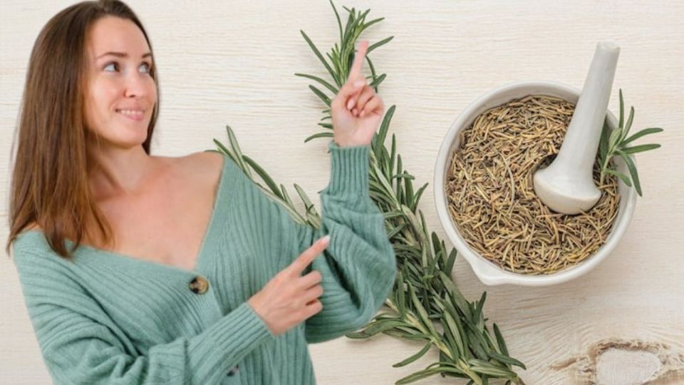 Las plantas ayudan a limpiar la energía negativa y mejorar el ambiente dentro del hogar.
