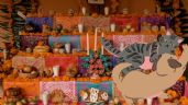 Foto ilustrativa de la nota titulada: ¿Vas a poner altar de Día de Muertos para tus mascotas? Conoce qué día se pone y qué debe incluir