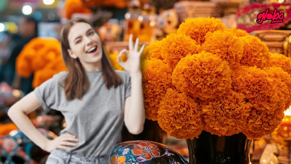 Si deseas adornar tu hogar con flores, quédate que aquí te contamos los mejores lugares para comprar a buen precio.