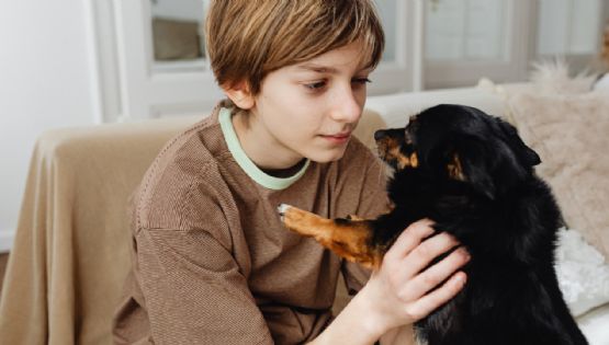 ¿Cuáles son las mascotas ideales para niños con autismo y sus beneficios?