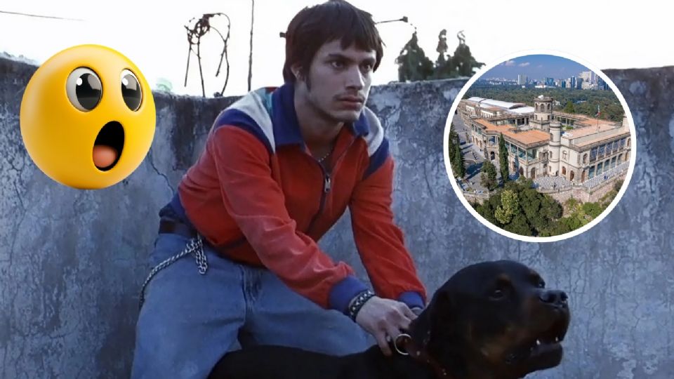 “Sueño Perro” la experiencia sensorial para celebrar 25 años de Amores Perros, que debes visitar en CDMX.