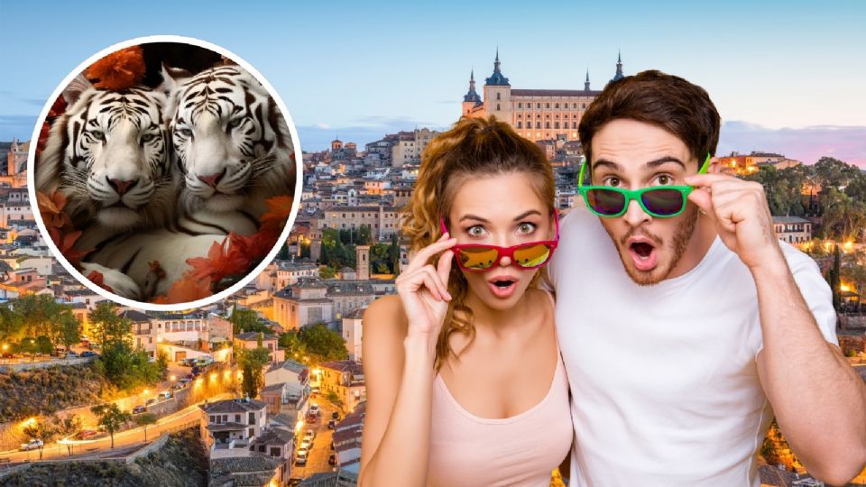 ¿Dónde comprar las famosas Cobijas del Tigre?