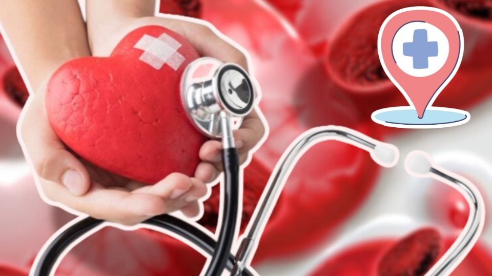 El colesterol bueno también potencia tus hormonas sexuales, revela la UNAM.
