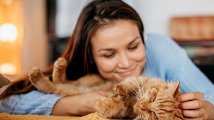 ¿Es verdad que los gatos protegen el hogar, absorben malas energías y ayudan a reducir el estrés?