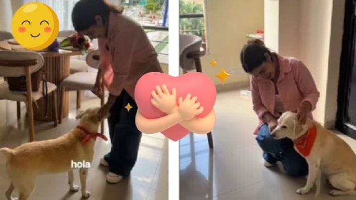 Así fue el emotivo reencuentro de una perrita abandonada con su dueña