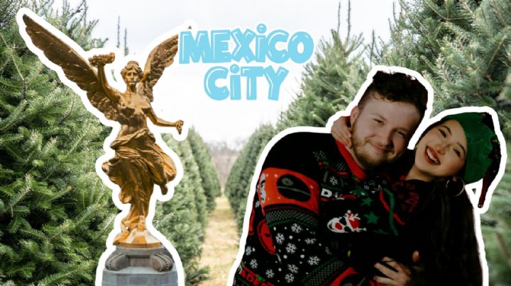 El lugar ideal en CDMX para cortar y comprar tu propio árbol de Navidad