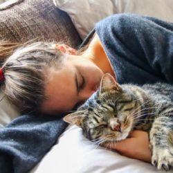 ¿Por qué tu gato se duerme encima de ti? Estas son las razones más comunes