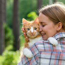 ¿Tienes un gato como mascota? Consejos para que viva más tiempo tu michi