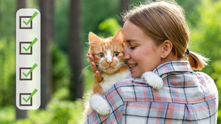 ¿Tienes un gato como mascota? Consejos para que viva más tiempo tu michi