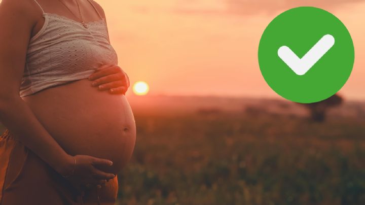 ¿Qué famosas fueron mamás en 2025? Desde Rihanna y Martha Higareda hasta Karely Ruiz