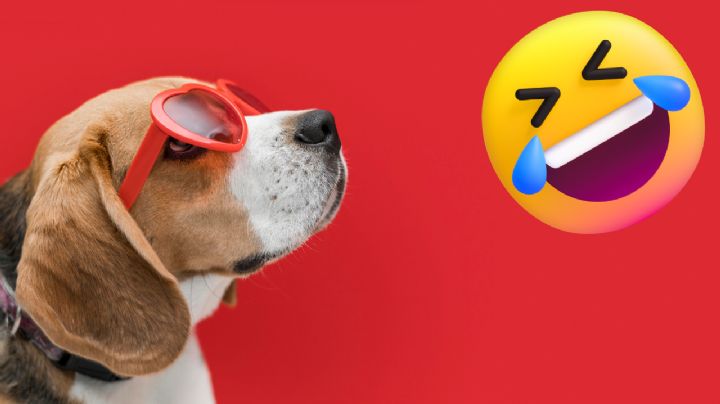 ¡Y no es IA! Perrito con lentes y sombrero pasea en motocicleta por Chignahuapan (VIDEO)