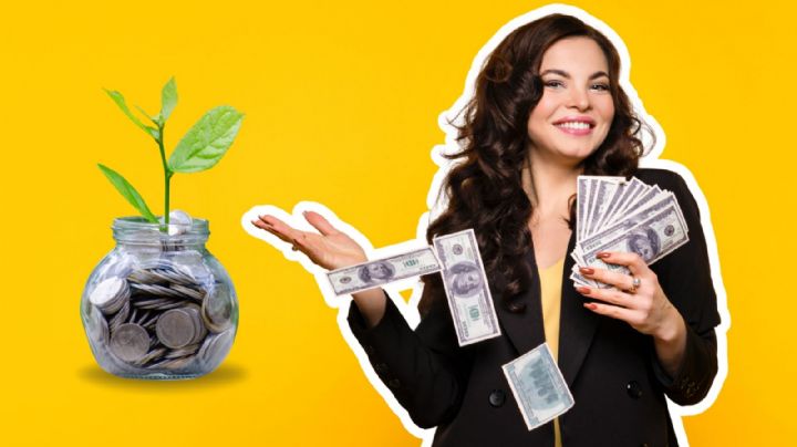 Esta es la planta que te ayudará a atraer la abundancia antes que acabe el año