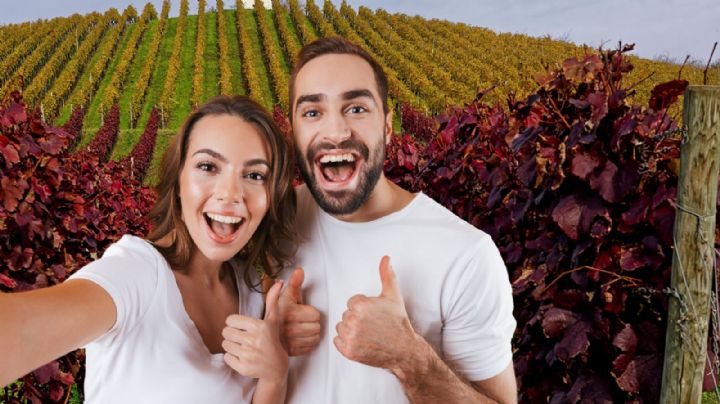 El Pueblo Mágico de Querétaro con viñedos y castillos que debes visitar este fin de semana