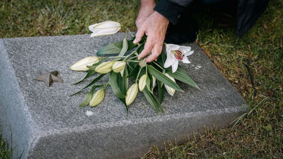 José Agustín murió el día de hoy, su legado permanece entre letras y libros