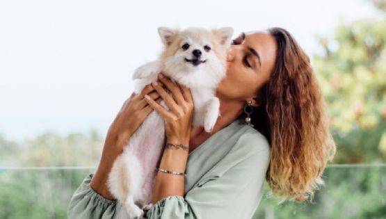 ¿Cómo saber que tu perro te ama? Revisa estos comportamientos, según etólogos