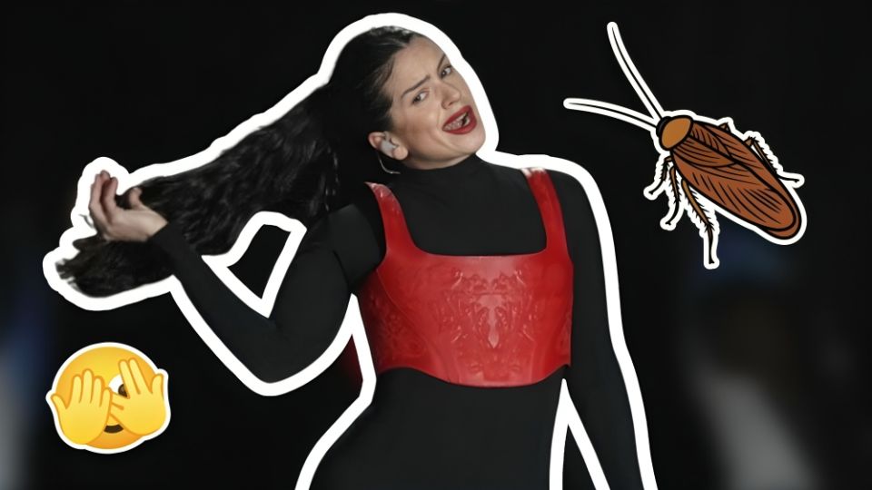 Rosalía vive susto por una cucaracha y su reacción se ha vuelto viral donde internautas afirman que ellos también actuarían de la misma manera.