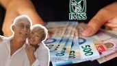 Foto ilustrativa de la nota titulada: Pensión IMSS 2025: ¿Qué adultos mayores recibirán doble pago en marzo?