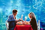 ¡Delicioso San Valentín! Disfruta de una deliciosa cena con recorrido inmersivo en el Acuario Michin