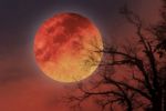 Foto ilustrativa de la nota titulada: Luna de sangre 2025: ¿A qué hora y cómo ver el primer eclipse de 2025 en México?