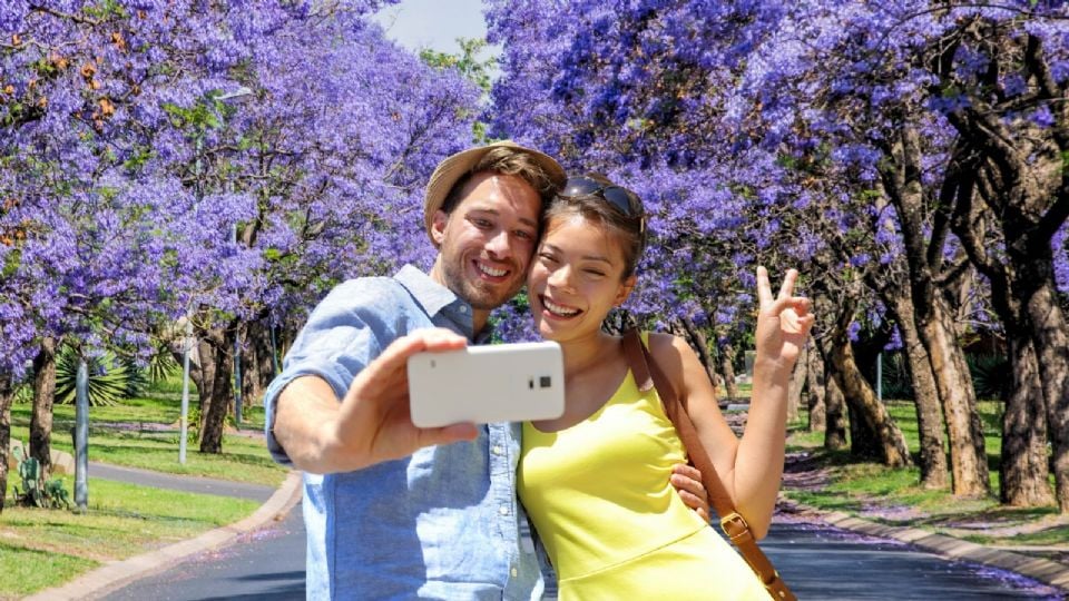 Rincones de México ideales para disfrutar de las Jacarandas en México esta Primavera 2025