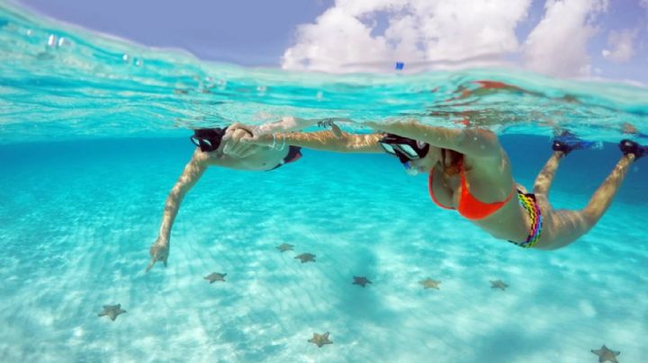 La Playa de Cozumel con arena blanca y aguas cristalinas ideal para nadar y practicar snorkel