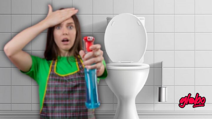 ¿Cómo destapar un inodoro?