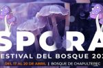 Foto ilustrativa de la nota titulada: SPORA Festival del Bosque de Chapultepec 2025: La exhibición de Hongos que debes visitar este fin en CDMX
