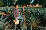 Foto ilustrativa de la nota titulada: El Pueblito de Jalisco con campos de agave azul y recorridos de destilerías ideales para visitar