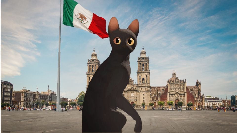 Flow gratis en el Zócalo de la Ciudad de México, ¿A qué hora empieza la película?