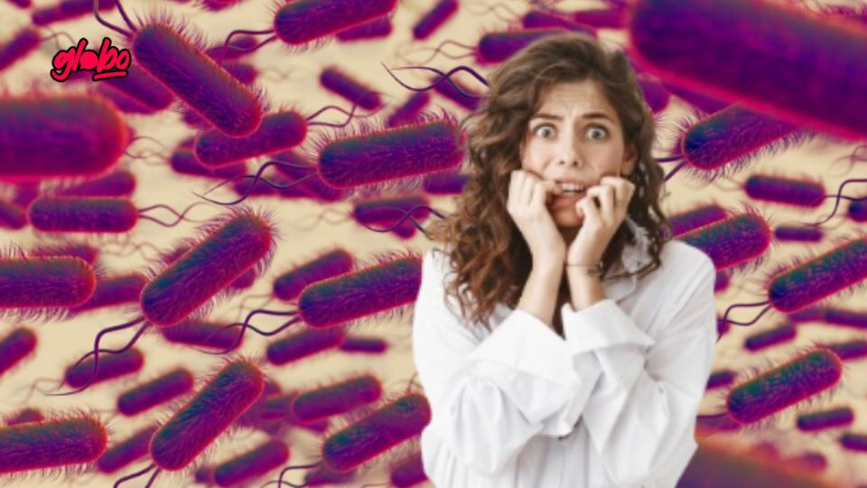Las infecciones por parásitos intestinales, como lombrices o parásitos, son una preocupación frecuente, especialmente en temporadas de calor.