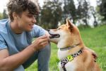 Foto ilustrativa de la nota titulada: ¿Qué significa que una persona hable siempre con su perro, según la psicología?