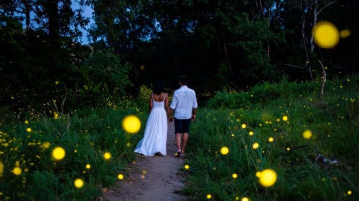 El desconocido pueblo mágico de Puebla para visitar con tu pareja por sus infinitas luciérnagas