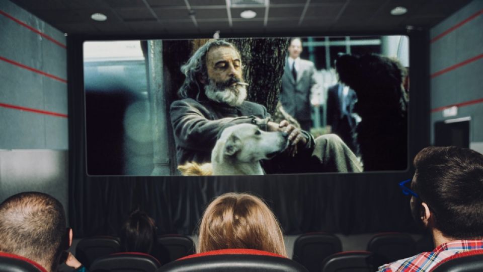 Amores Perros llega a la cineteca nacional en 4k y esto es todo lo que debes saber.