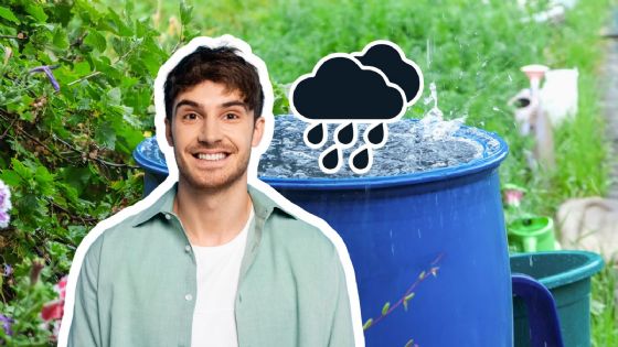 Temporada de lluvias 2025: 3 formas en las que puedes reutilizar el agua	