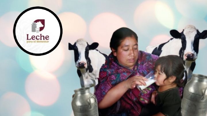 Leche para el Bienestar: Estas son las personas que ya no recibirán el apoyo