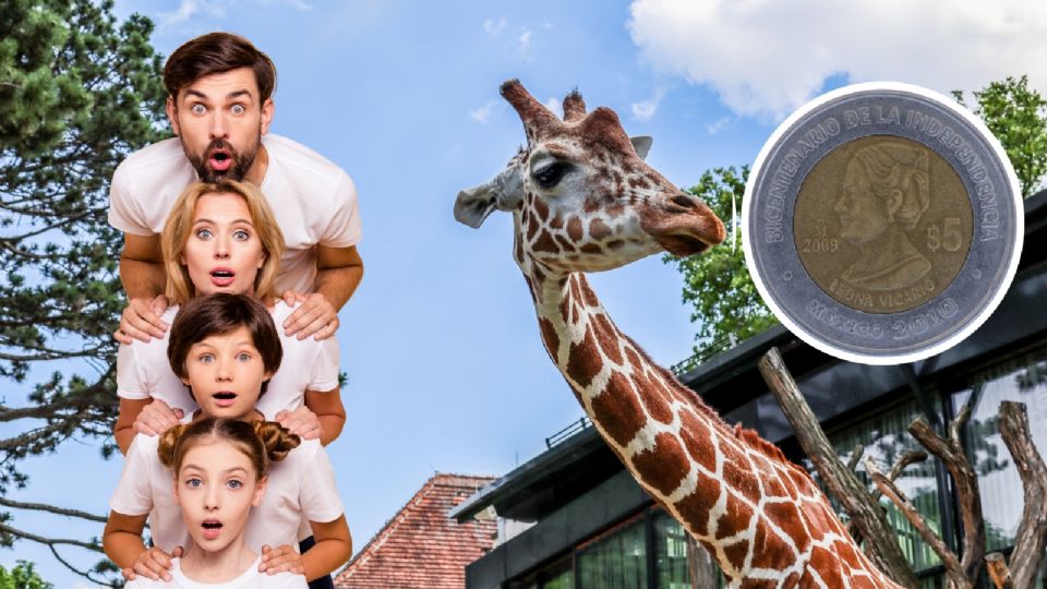 Zoológico en CDMX que solo cuesta 5 pesos la entrada.