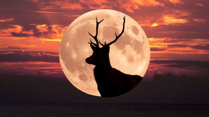 Luna de Llena de Julio 2025: Fecha, significado espiritual y nuevos cambios de esta Luna de Ciervo