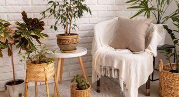 5 objetos vintage que debes tener en tu casa si quieres estar a la moda en julio 2025