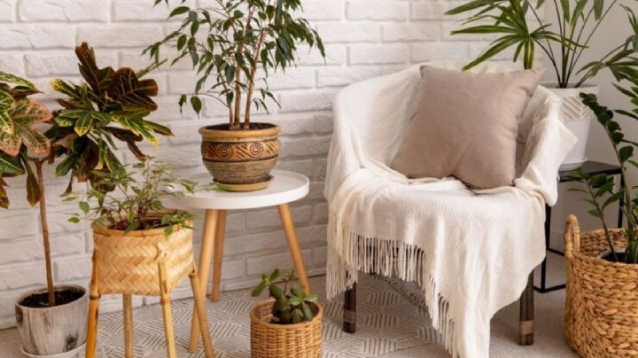 5 objetos vintage que debes tener en tu casa si quieres estar a la moda en julio 2025